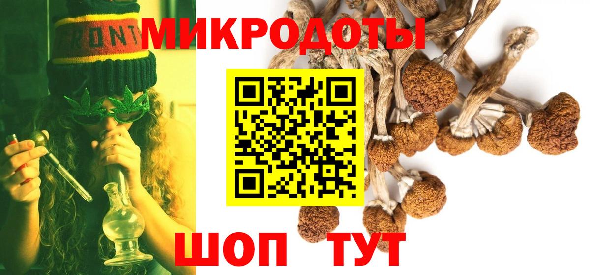 Псилоцибиновые грибы Cubensis Нижний Тагил